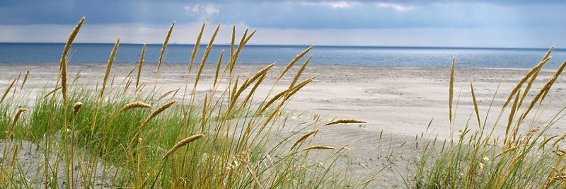 Marshfield MA Beaches