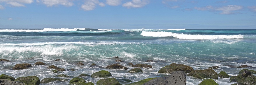 Marshfield Beach