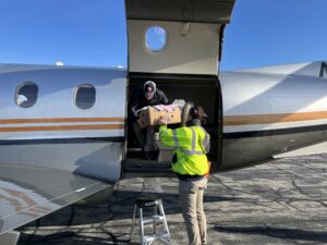 Shoreline Aviation airport Assistant Manager hands off a carton of turtles to pilot Steve Bernstein.