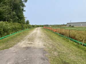 The northern access road will be paved in advance of the main ramp area. Fencing has been installed to protect wetlands.