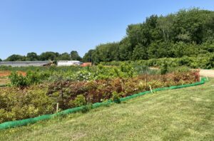 Wetlands are protected at GHG.